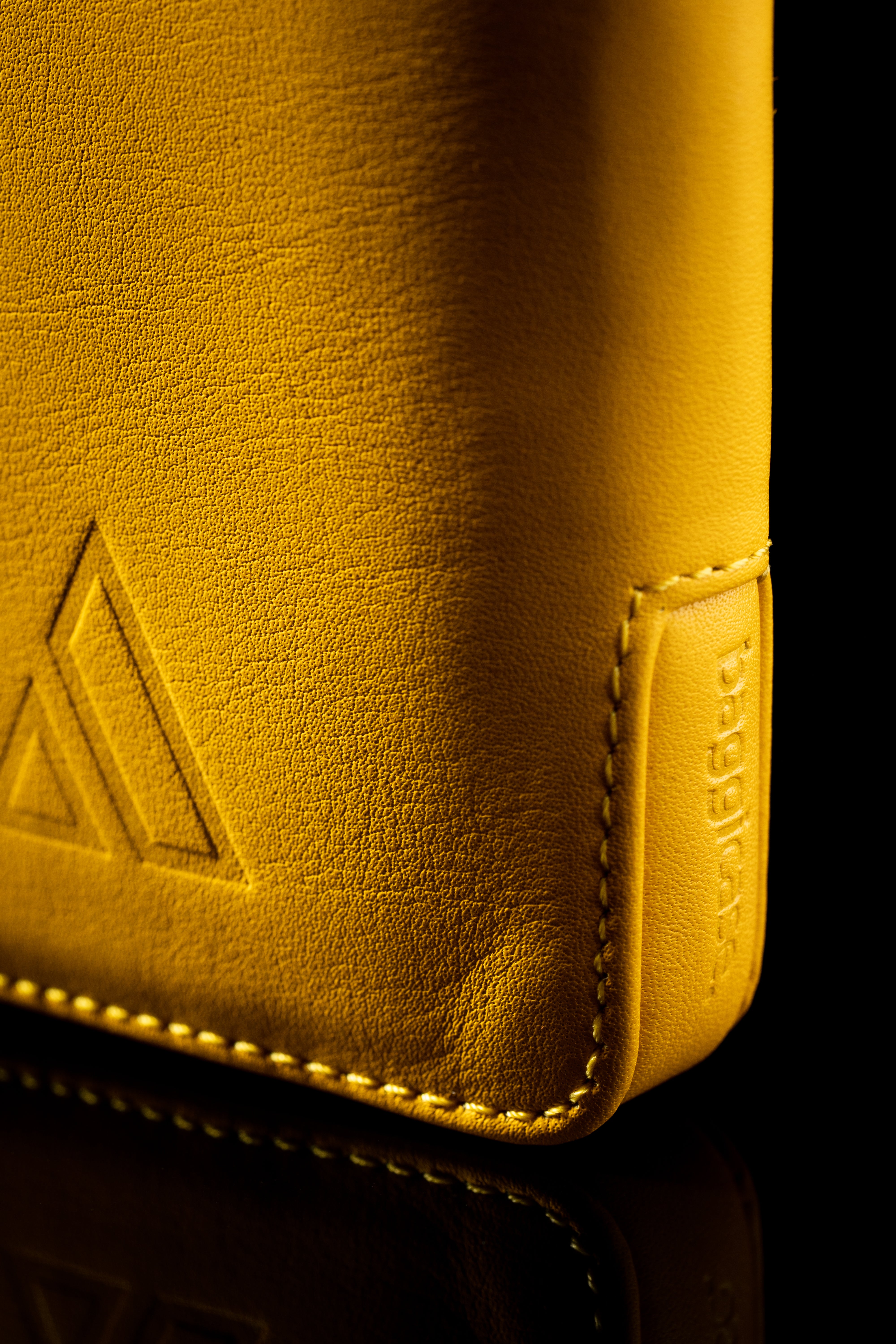 Baggicase Premium